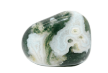 tree agate crystal