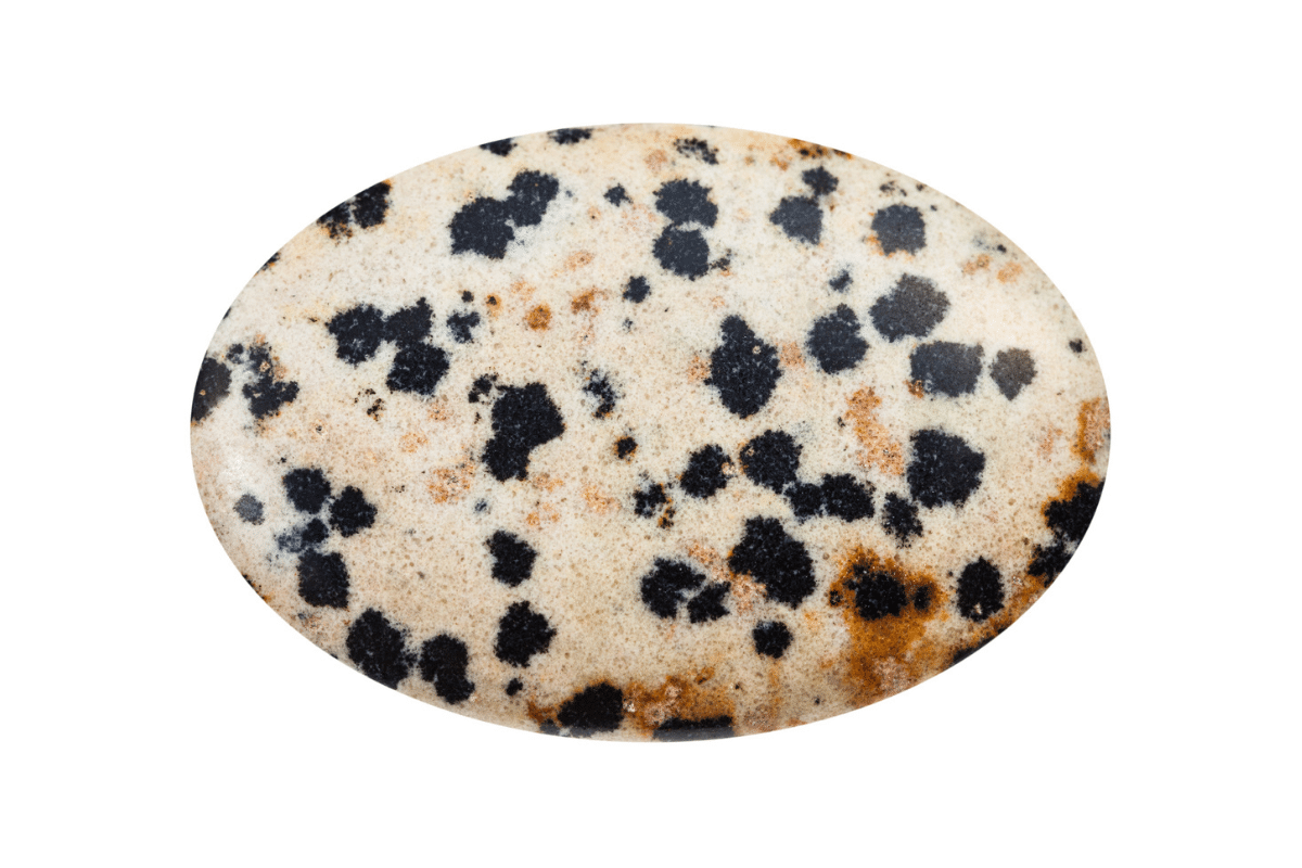 dalmatian jasper meaning