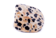 dalmatian jasper stone