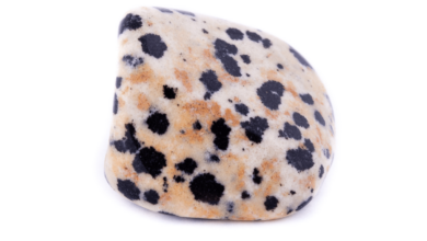 dalmatian jasper stone