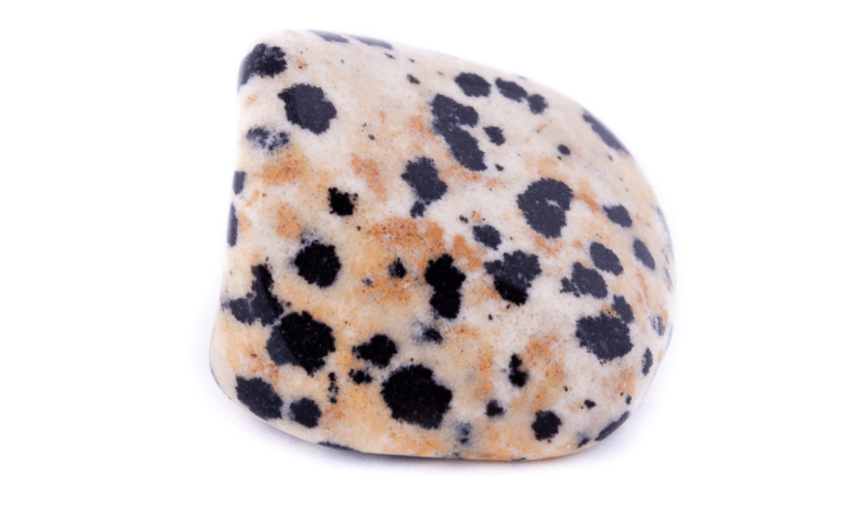 dalmatian jasper stone