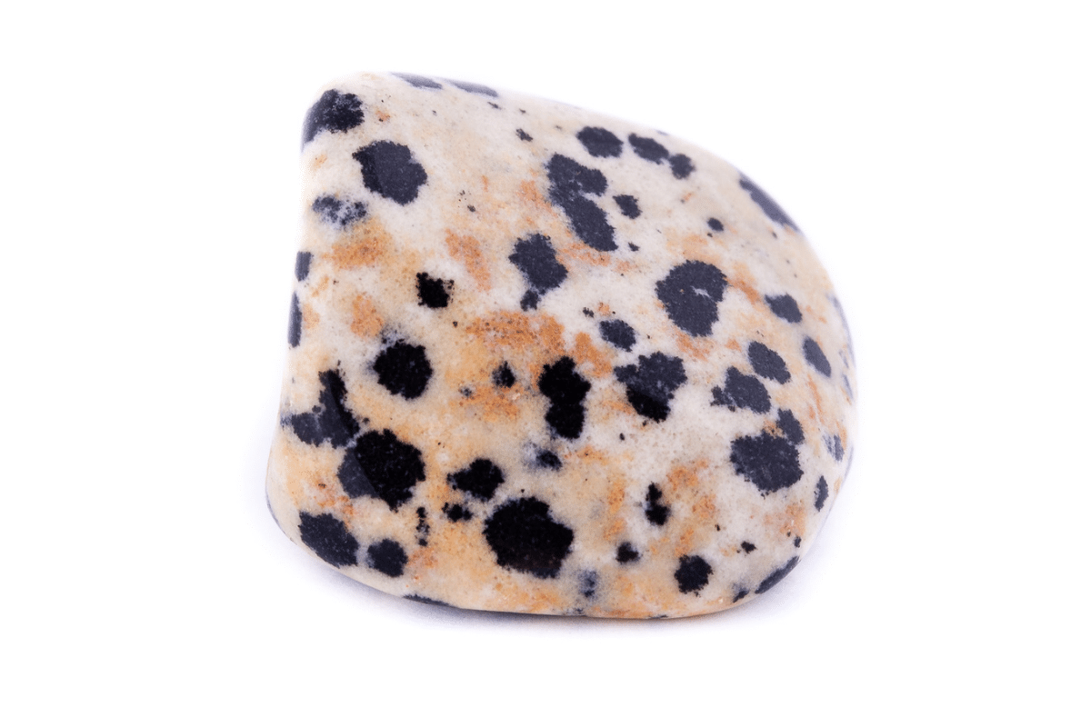 dalmatian jasper stone