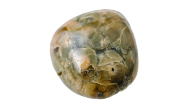 green rhyolite rainforest jasper meaning