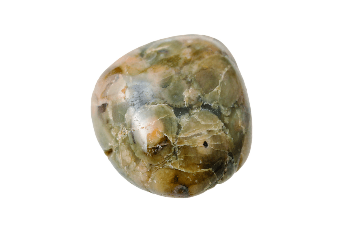 green rhyolite rainforest jasper meaning