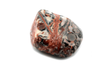 leopard skin jasper