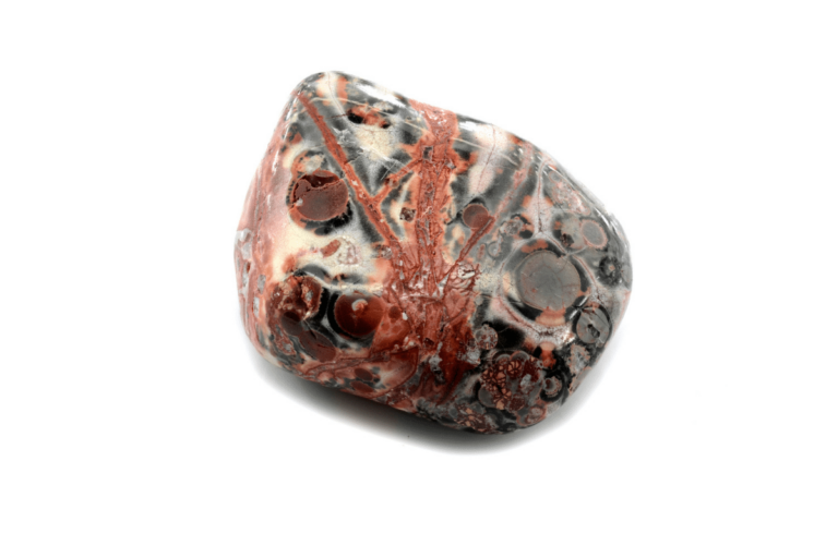 leopard skin jasper