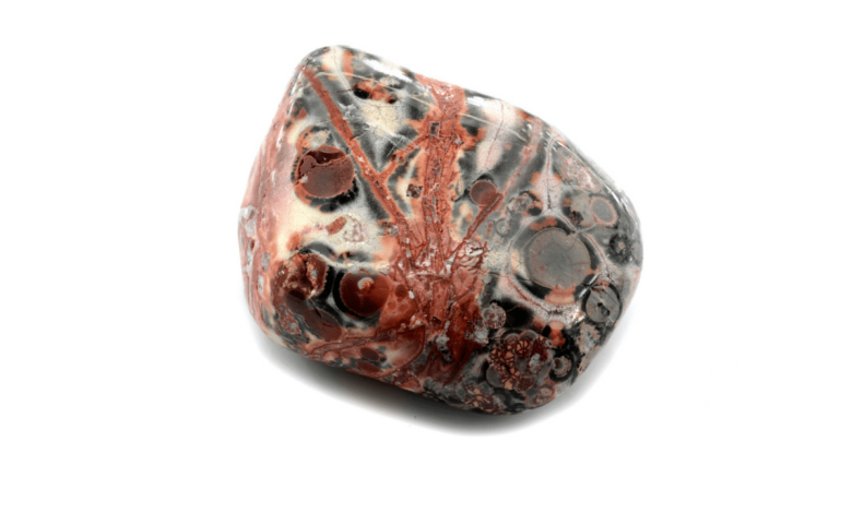 leopard skin jasper