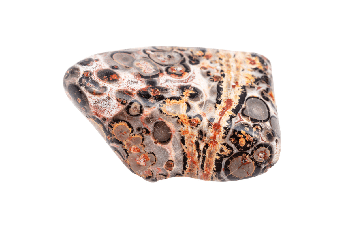 leopard skin jasper healing properties