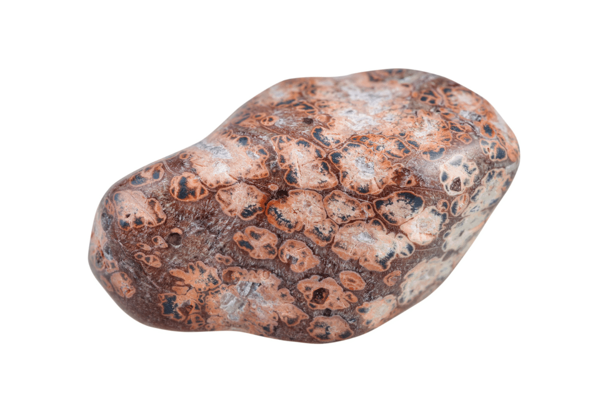 leopard skin jasper meaning